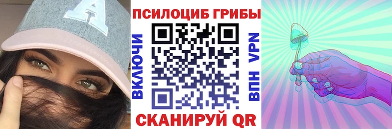 Галлюциногенные грибы Psilocybe  Купить закладки  Дыгулыбгей 